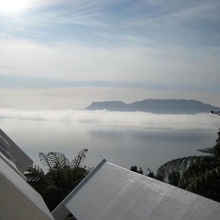 Te Whare -Lake Tarawera Tree-Top Nest Exterior foto